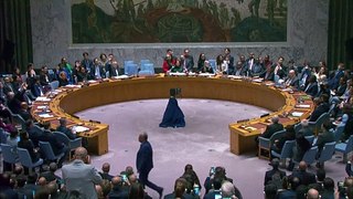 فيتو أميركي ضدّ عضوية فلسطين في الأمم المتحدة