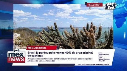 Brasil já perdeu pelo menos 40% da área original de caatinga