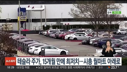 테슬라 주가, 15개월 만에 최저치…시총 월마트 아래로