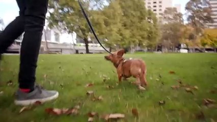 Australian AMA Reports Record-High Wait Times for Elective and Emergency Surgeries 🏥