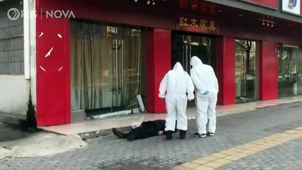 Decoding COVID-19 - Adelanto