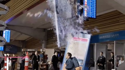 The Good Doctor, temporada 1 - Tráiler oficial