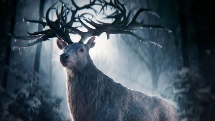 Sombra y Hueso | Tráiler oficial