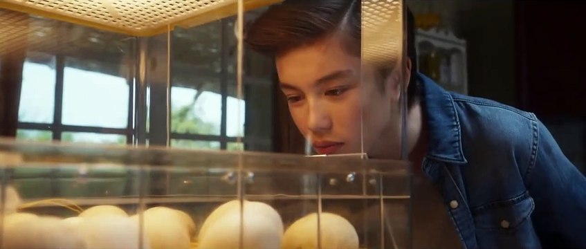 Abre tus alas - Tráiler oficial doblado al español