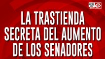 La trama secreta detrás del aumento de los Senadores: ¿nos mienten en la cara?