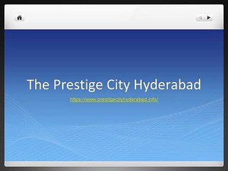 Pets in India: A Guide to Popular Companion Animals