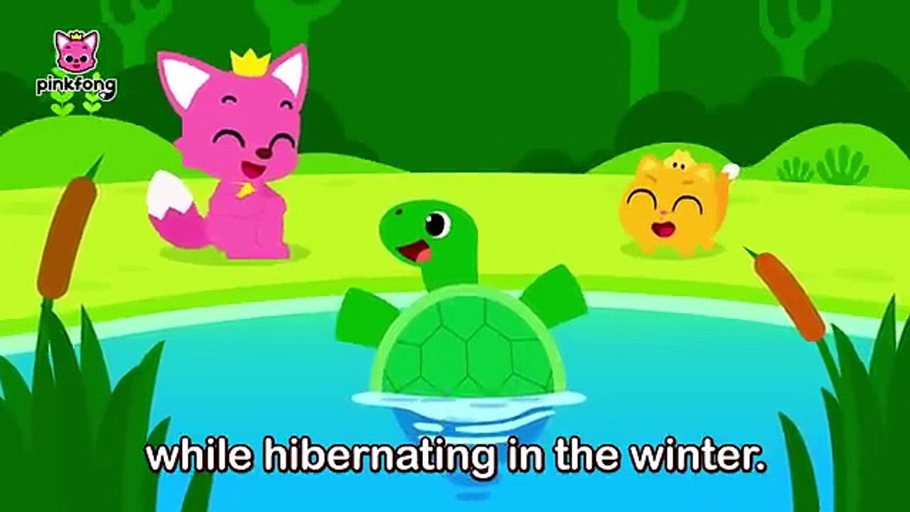 Fun Facts about Animal Sleeping Habits Learn with Pinkfong Baby Shark