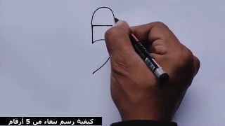 كيفية رسم ببغاء من 5 أرقام