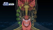 [메디컬 인사이트 28회] 안과 전문의가 전하는 '갑상선 안병증' 증상과 치료법 / YTN