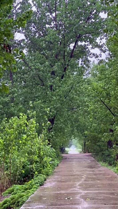 I really want to walk on a rainy path with you