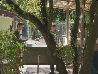 Isla de pájaros | Tráiler Oficial