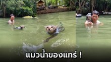 อาติ แมวน้อยโชว์ว่ายน้ำ ชาวเน็ตเมนต์สนั่น สอนยังไง ไม่ให้น้องกลัวน้ำ