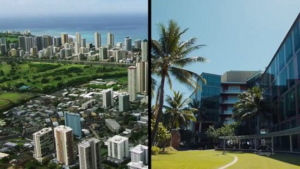 Doogie Kamealoha, M.D. | Tráiler subtitulado