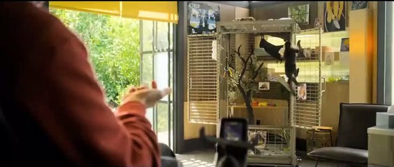 Gigi & Nate | Tráiler oficial