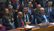 EEUU veta la entrada de Palestina en la ONU como miembro de pleno derecho