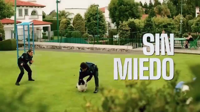 Harina: El Teniente Vs El Cancelador | Tráiler oficial