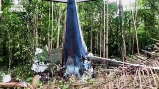 Operación Esperanza Los niños perdidos en el Amazonas - Tráiler Oficial Prime Video