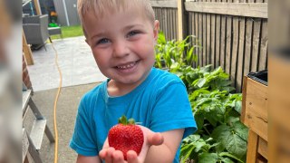 Five-year-old boy starts successful plant stall with seeds he grew all by himself
