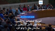 در جلسه شورای امنیت برای پذیرش فلسطین در سازمان ملل چه گذشت؟ وتوی آمریکا در مقابل ۱۲ رای مثبت