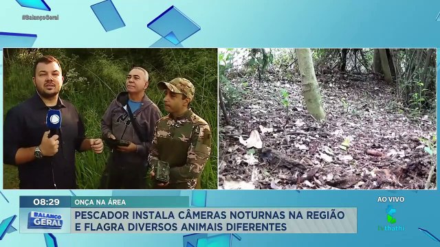 Moradores do interior de São Paulo gravam animais da fauna brasileira