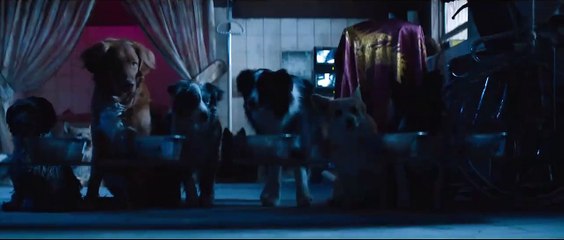 DogMan | Tráiler oficial en inglés