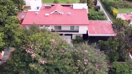 Retrato Familiar | Tráiler oficial