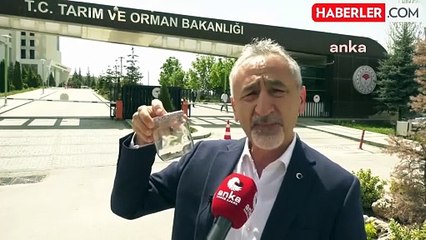 CHP Milletvekili Mustafa Adıgüzel, Kahverengi Kokarca Böceği İstilasını Tarım Bakanlığına Taşıdı