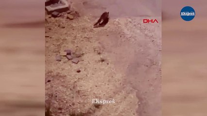 Diyarbakır’da şampiyonluk maçı için bilet kuyruğu