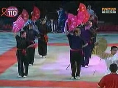 Wushu Shan Festival Arts Martiaux Bercy 2008