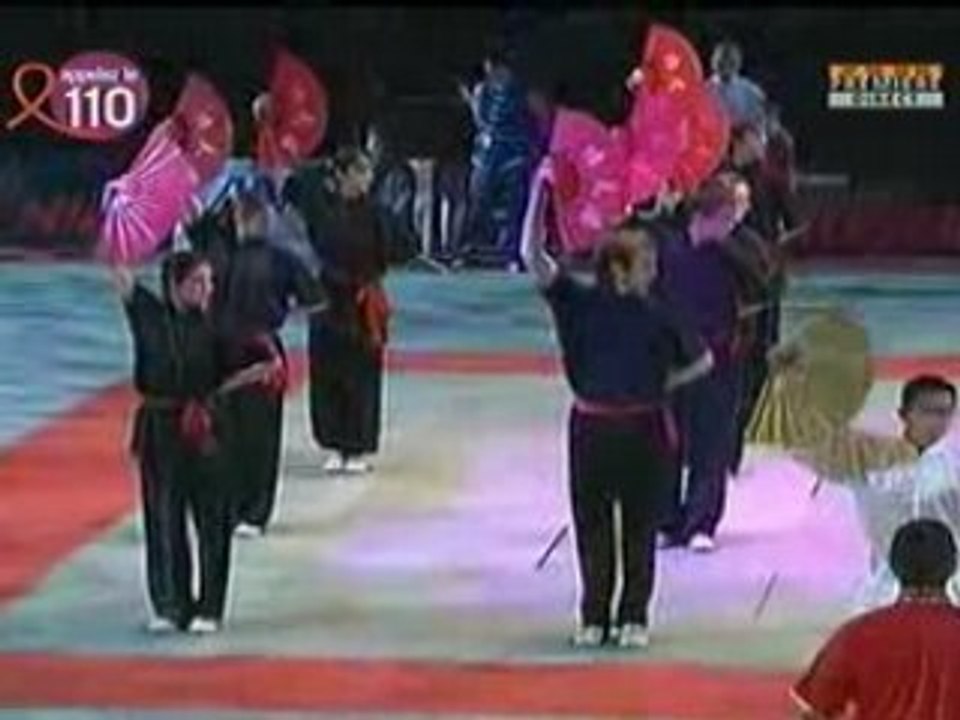 Wushu Shan Festival Arts Martiaux Bercy 2008