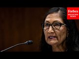 Interior Secretary Deb Haaland Testifies Before The House Appropriations Committee