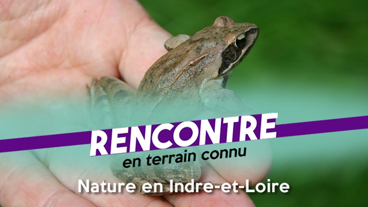 Rencontre en terrain connu #85 - spécial Nature en Indre-et-Loire - Partie 1