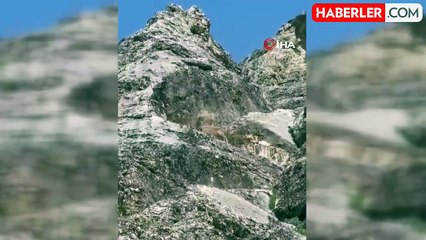 Dağ keçileri Palu Kalesi'nde görüldü