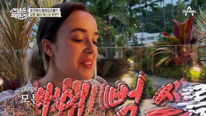 호주에 빠지면 답이 없다! 야생 돌고래와 나누는 교감♥