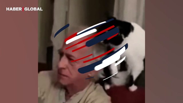 Sahibini kandıran kedi izlenme rekoru kırdı: Ben yapmıyorum