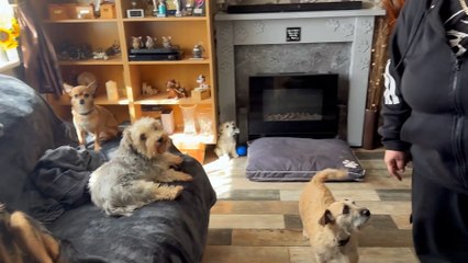 Couple Outraged by Virgin Media Service Disruption 📶