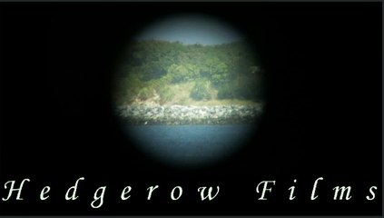 Based on a True Story: LEGO Car Ride (S1E1)