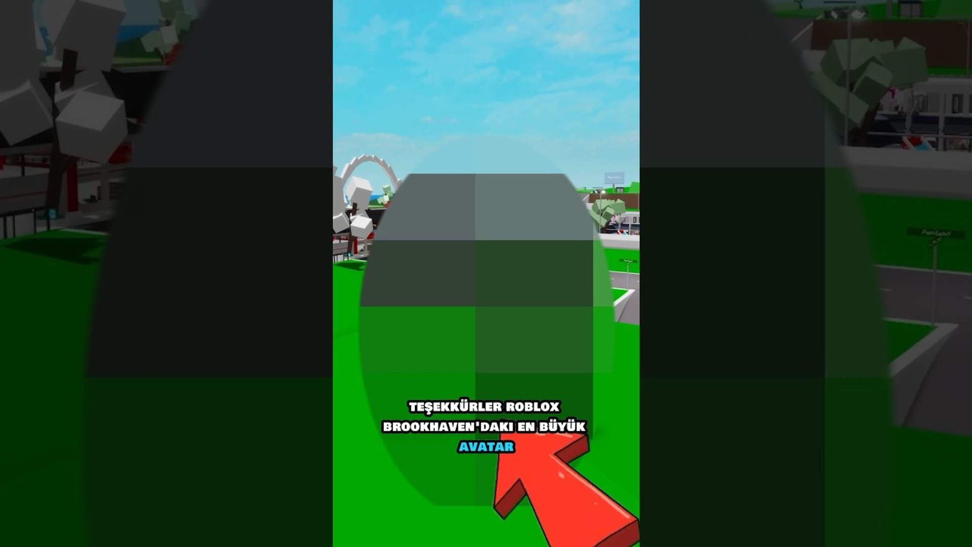 ⁣BROOKHAVEN EN BÜYÜK AVATAR HANGİSİ #shorts #roblox #brookhaven #gaming #trending #viral #games