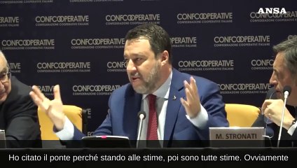 Download Video: Salvini sul ponte sullo Stretto: 