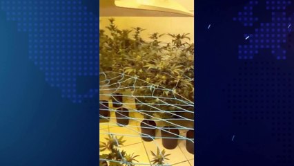 Motorista de micro-ônibus que atropelou fiéis falou sobre o acidente pela primeira vez.