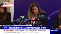 Meurtre de Philippe à Grande-Synthe: 