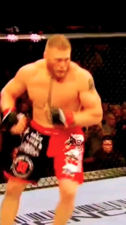 La folle histoire entre Brock Lesnar et l'Undertaker à l'UFC 