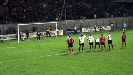2010-2011 - J18 - OGUNBIYI 2 - GUINGAMP - LUZENAC-4-1