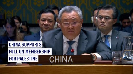 China very disappointed at U.S. veto of Palestine's UN membership bid