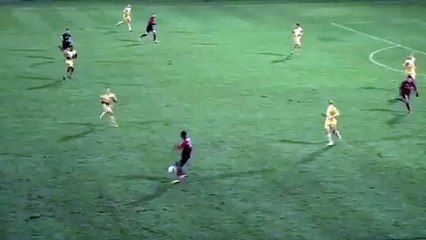 2010-2011 - J19 - GIRESSE - ORLEANS- GUINGAMP -1-1