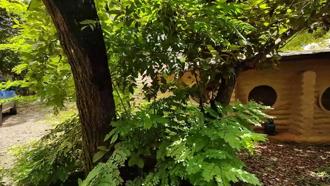 (161) Erdhaus - Fotos & Videos eines naturnahen Wohnhauses | AUSWANDERN COSTA Rica