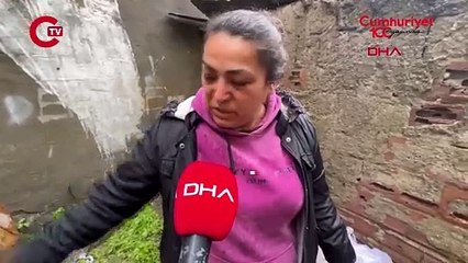 Vahşetin adresi: Sultangazi... Mahallelinin baktığı 3 yavru kedi öldürülmüş halde bulundu
