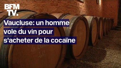 Vaucluse: un homme volait du vin dans le domaine viticole où il travaille pour s'acheter de la cocaïne