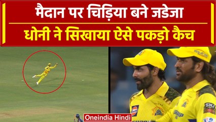 Tải video: IPL 2024: Jadeja मैदान पर बने पक्षी, पकड़ा जबरदस्त कैच, Dhoni हैरान | CSK vs LSG | Highlights