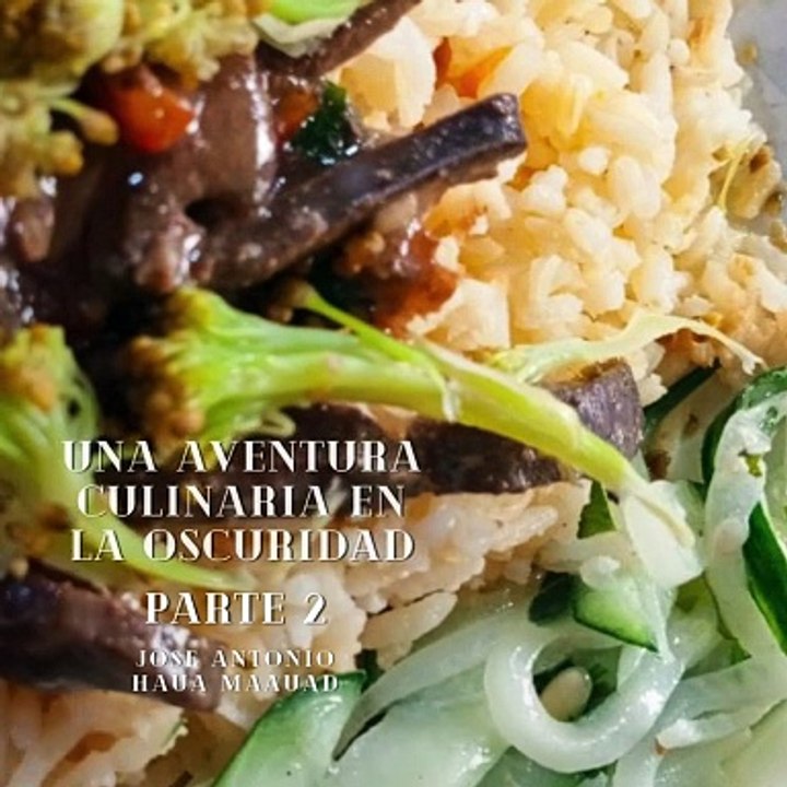 José Antonio Haua Maauad- Una epifanía culinaria: Redefiniendo el gusto en Dans le Noir:
